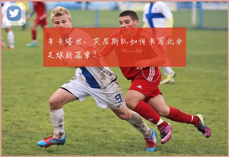 年卡塔尔，突尼斯队如何书写北非足球新篇章？